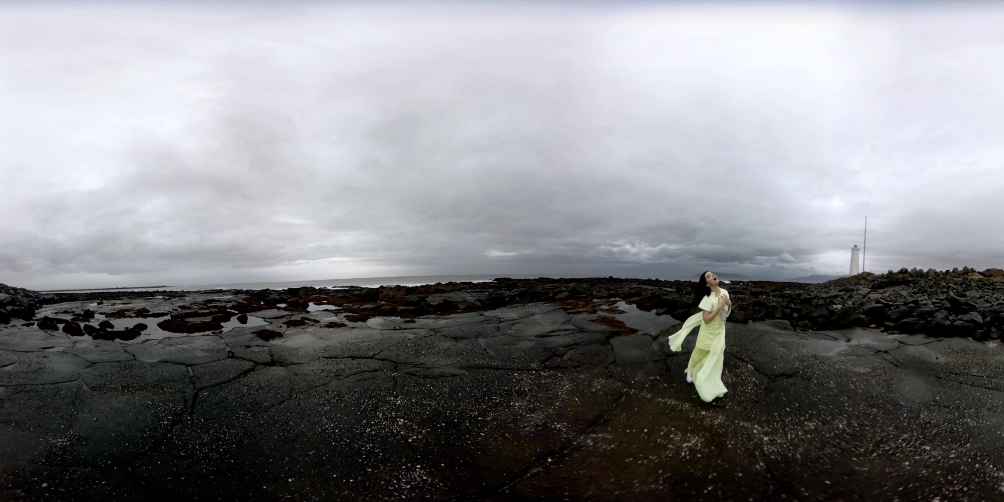 Björk e la realtà virtuale per l’installazione al MoMA di Stone Milker [Aggiornato]
