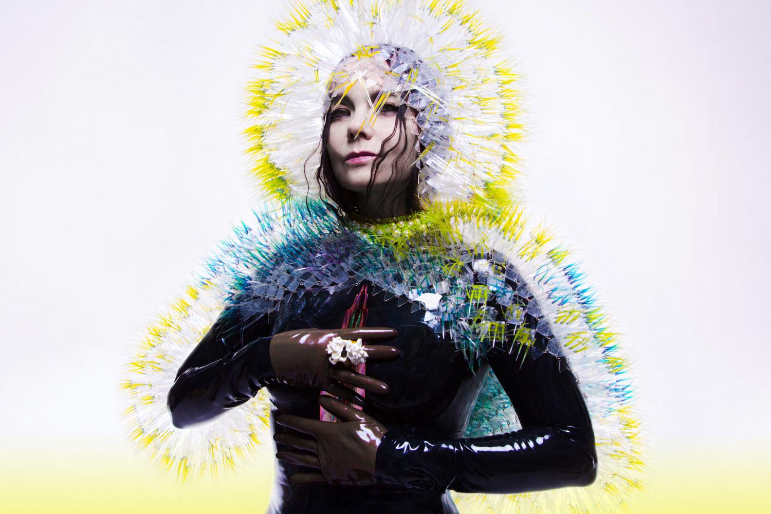 Björk ti spenna? Ridici su, che ti passa (forse)